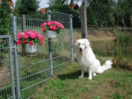 Unsere liebe Anika!