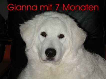 Gianna = Ana-Nadesda von den Brachg&auml;rten